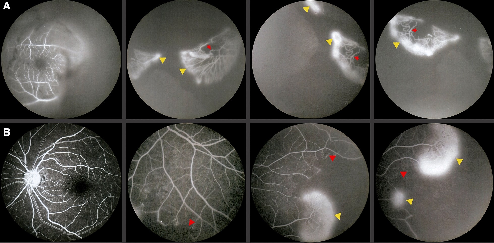 Fig. 3