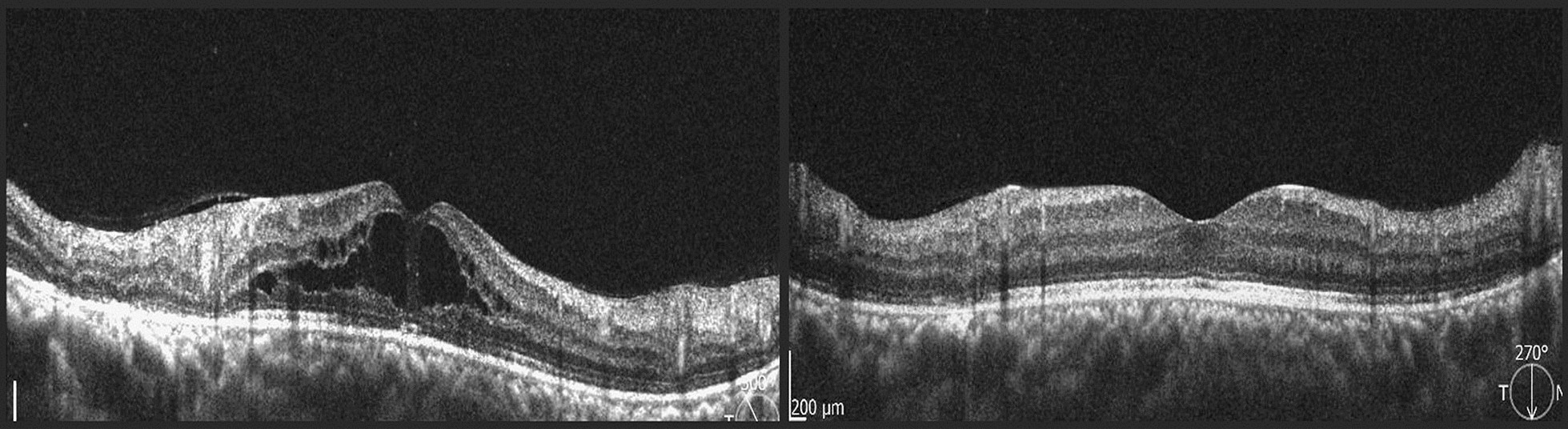 Fig. 8