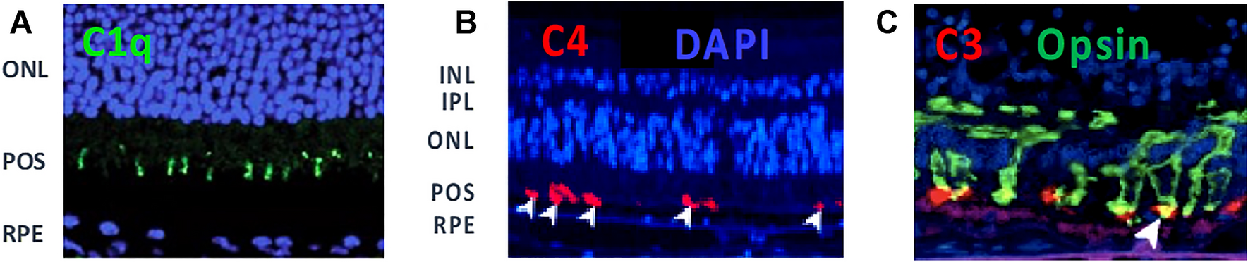 Fig. 4