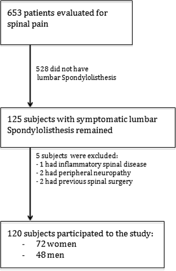 Fig. 12 (abstract P16)