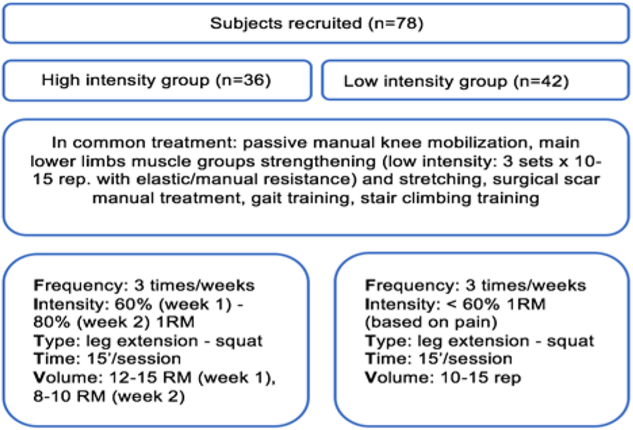 Fig. 1 (abstract P11).