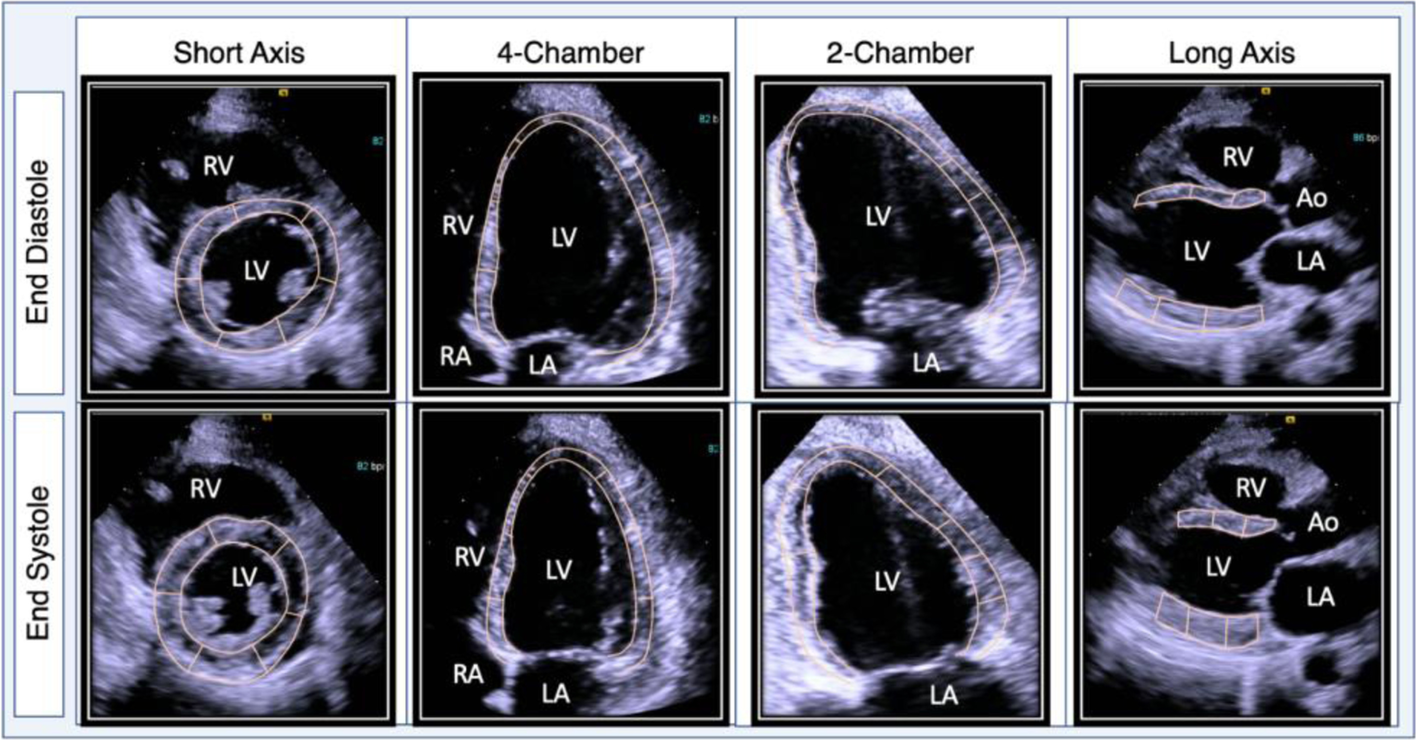 Fig. 2