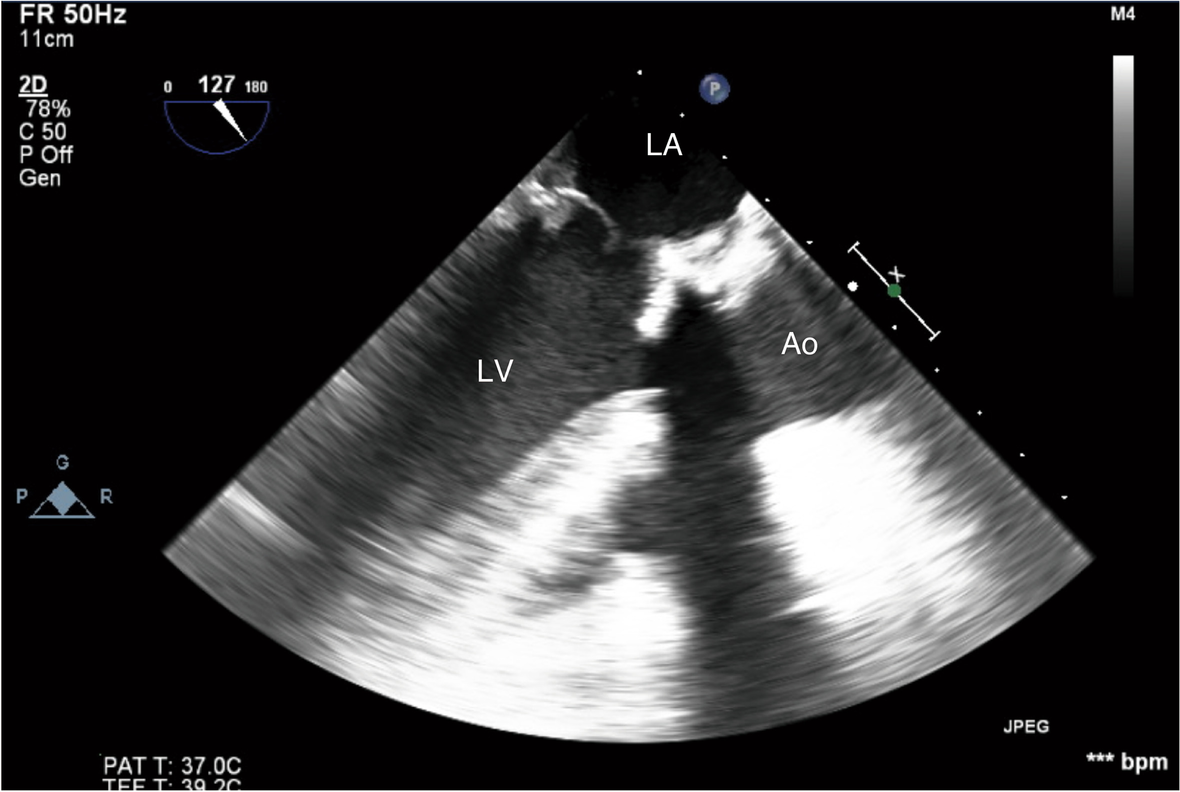 Fig. 5