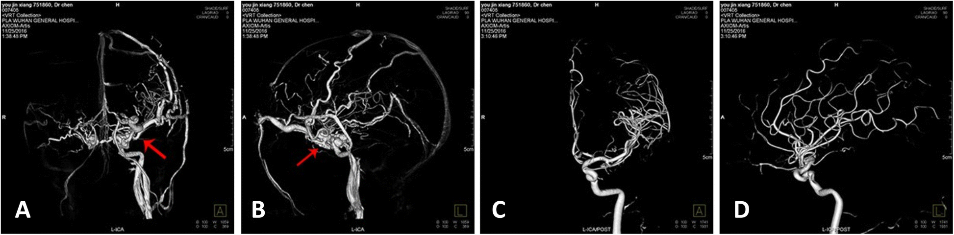 Fig. 8