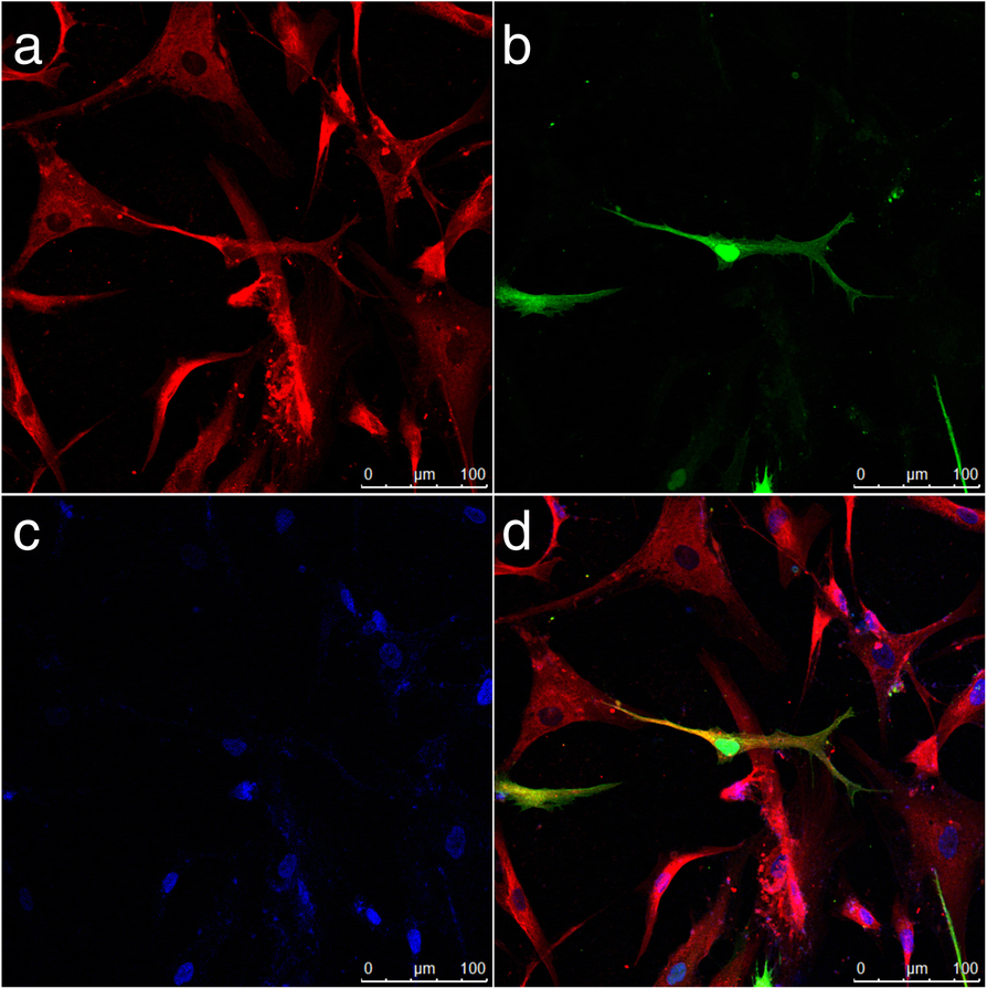 Fig. 4