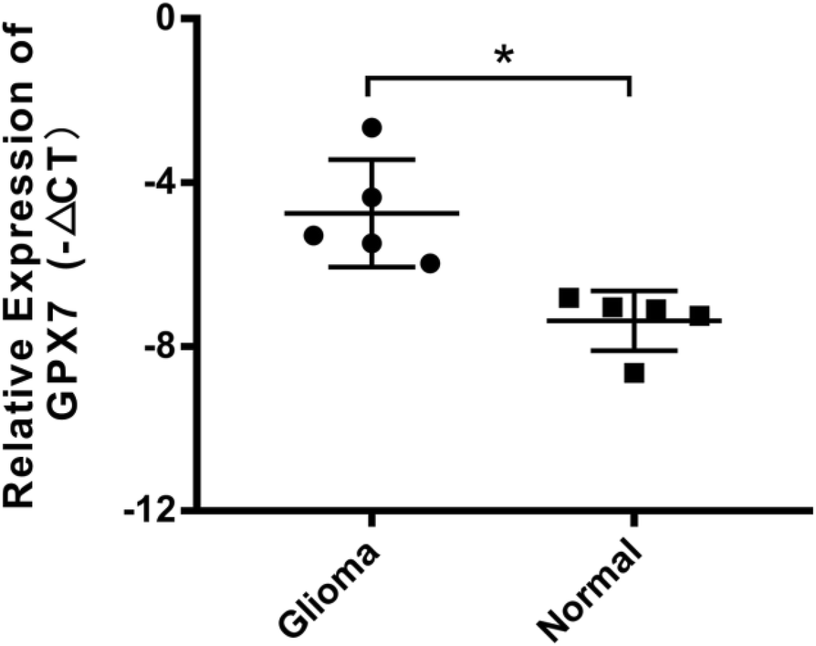 Fig. 7