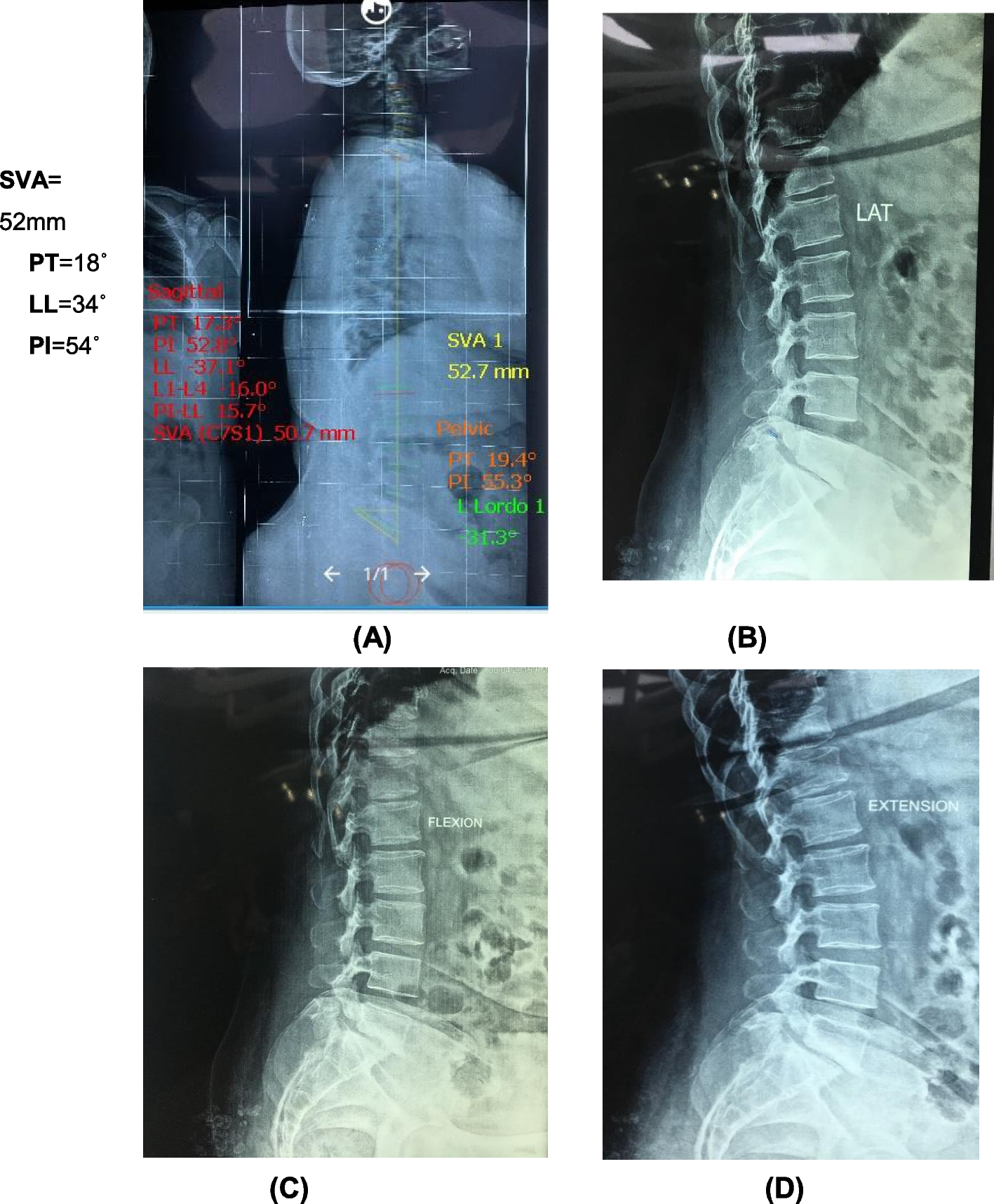 Fig. 7