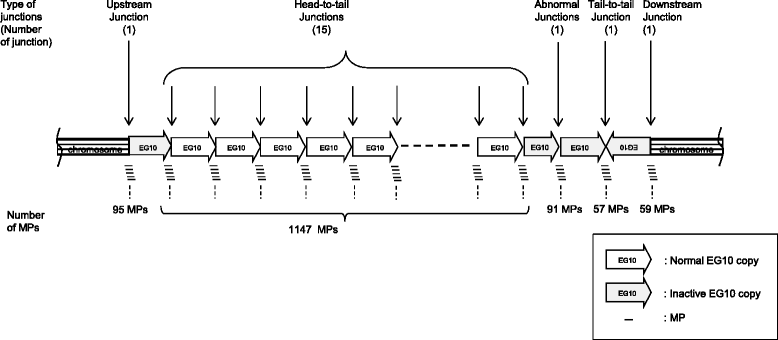 Fig. 10