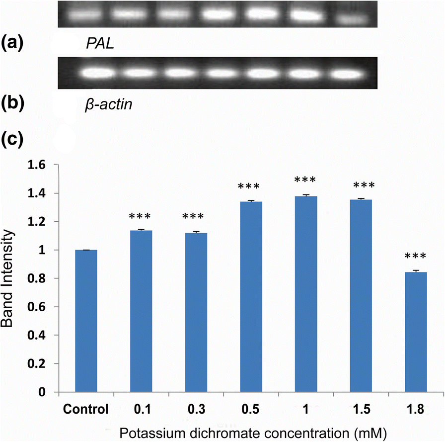 Fig. 16