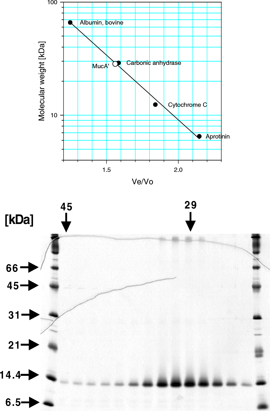 Purification And Interactions Of The Muca And Mucb Proteins Constituting The Dna Polymerase Ri Genes And Environment Full Text