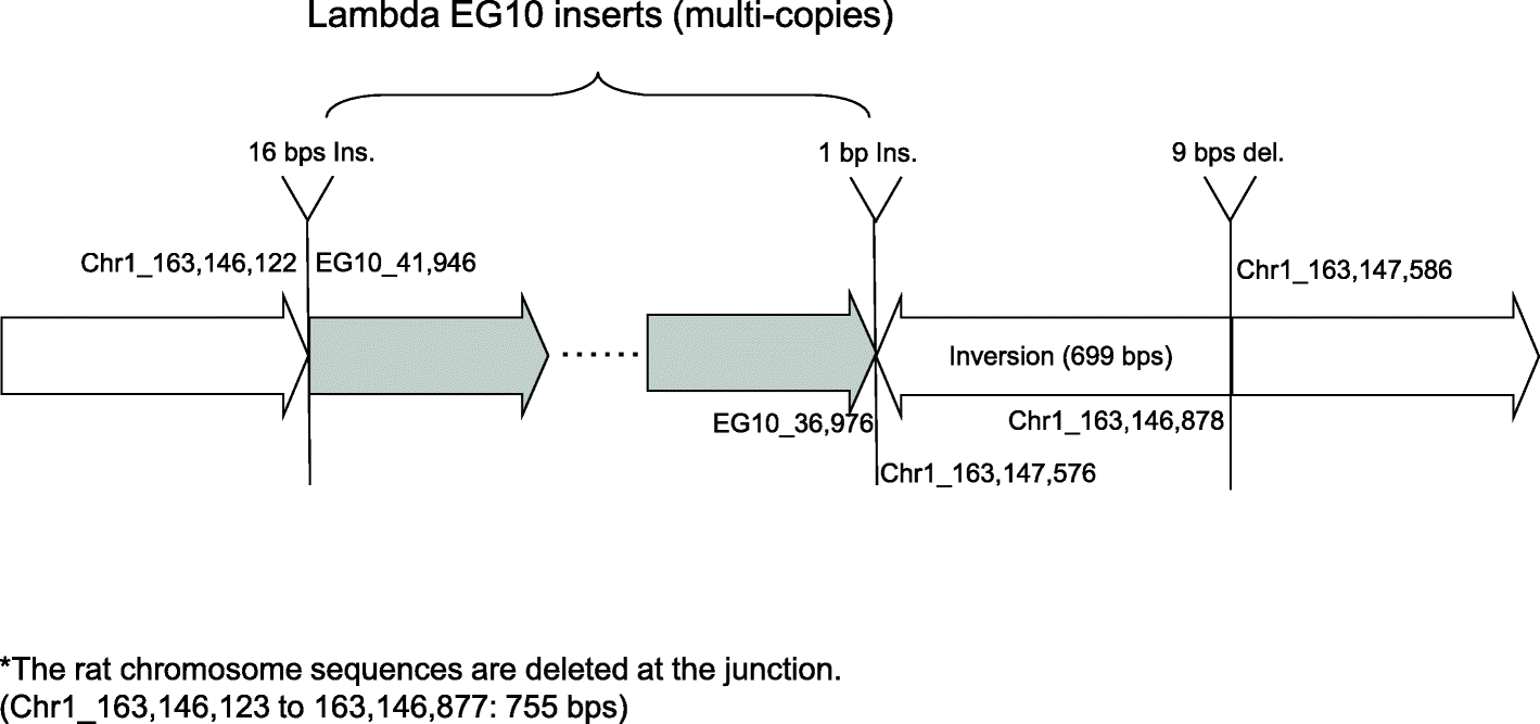 Fig. 5