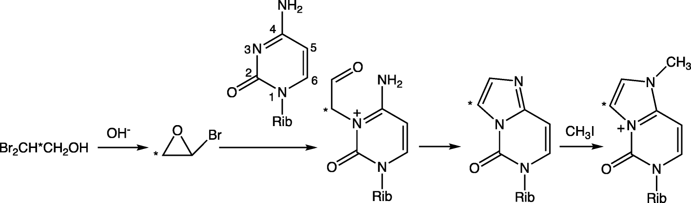 Fig. 12