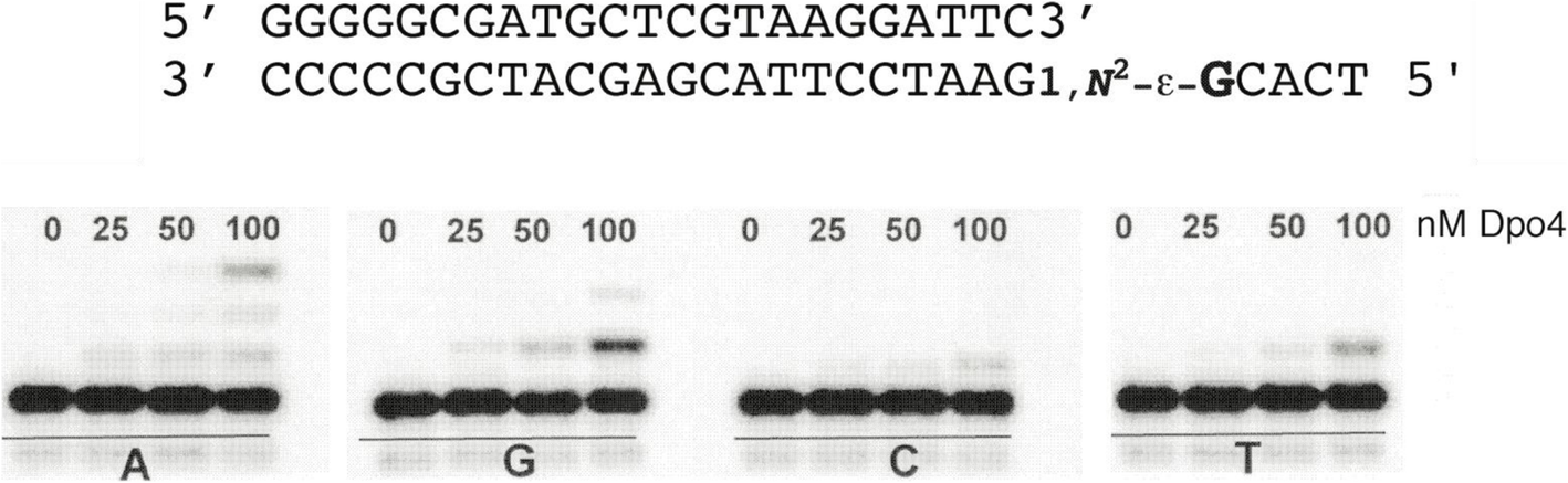 Fig. 15