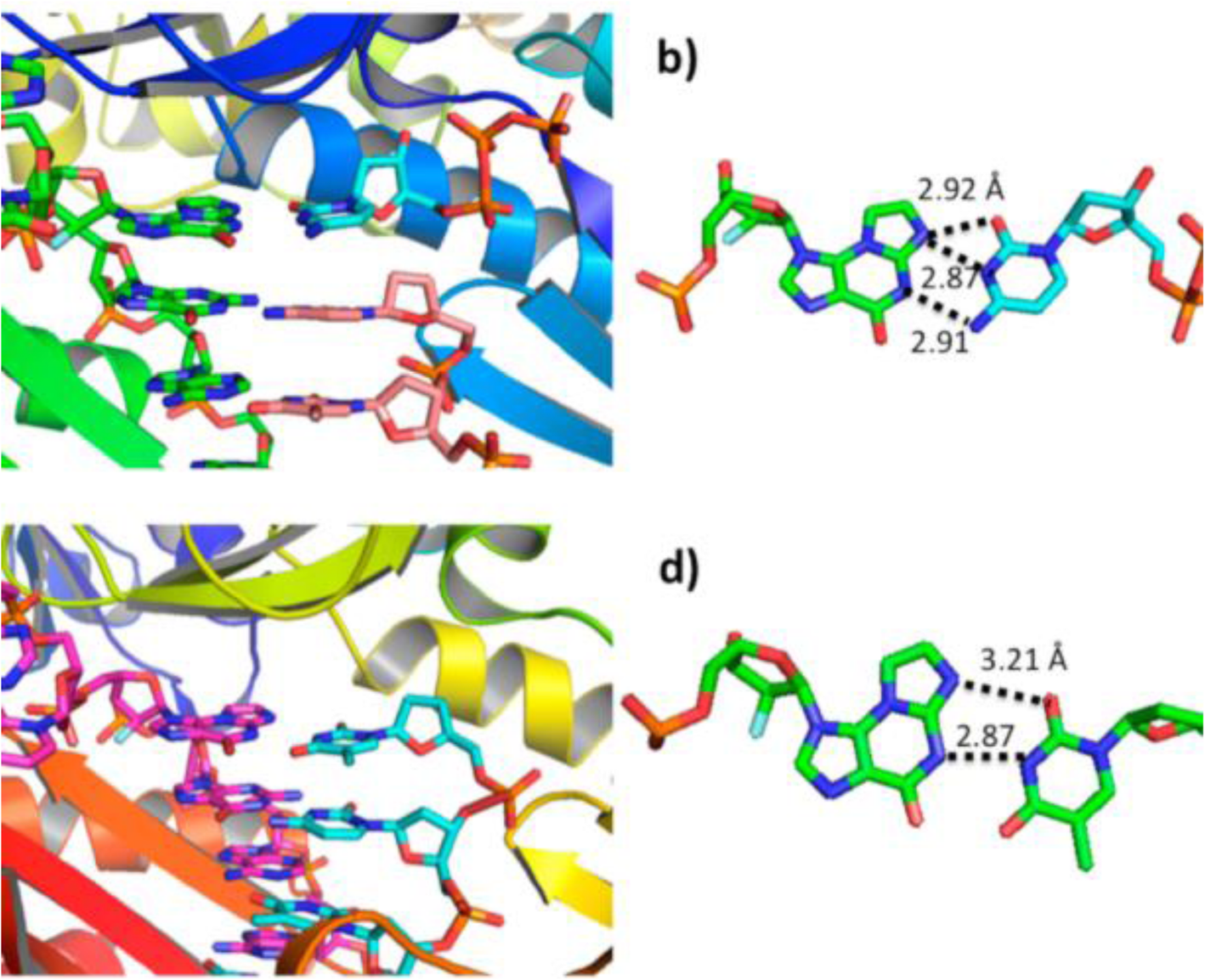 Fig. 19