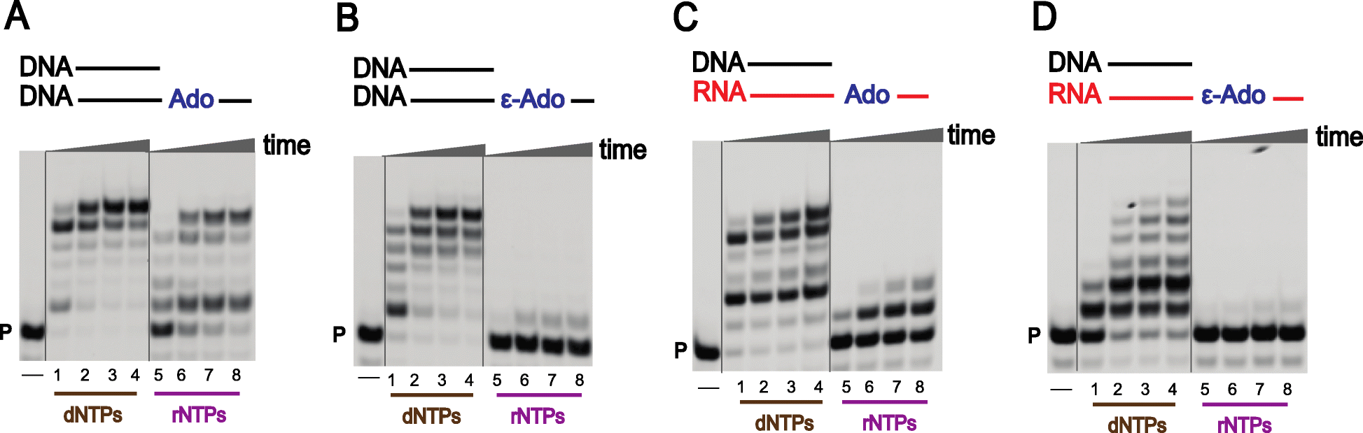 Fig. 23