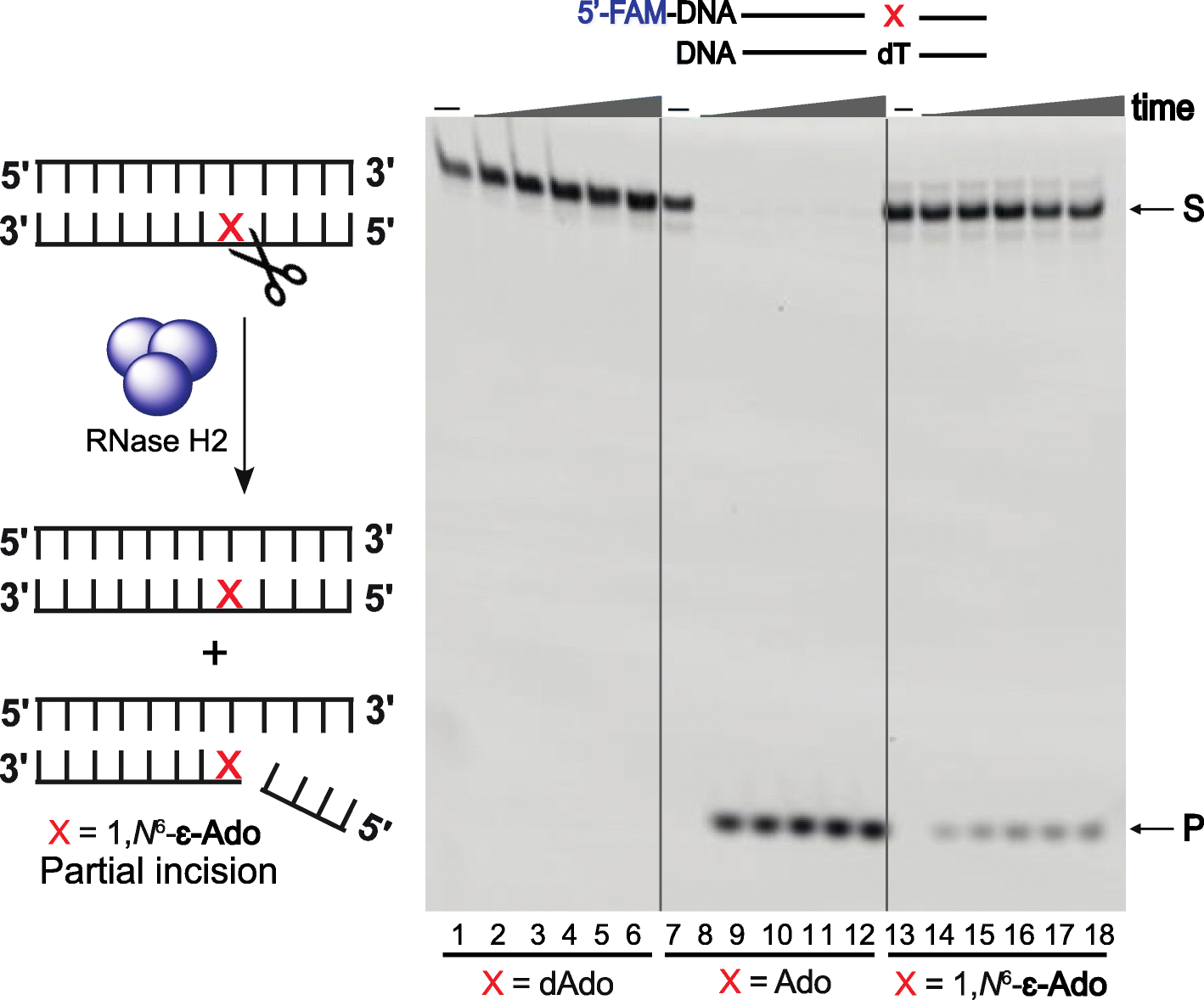 Fig. 24