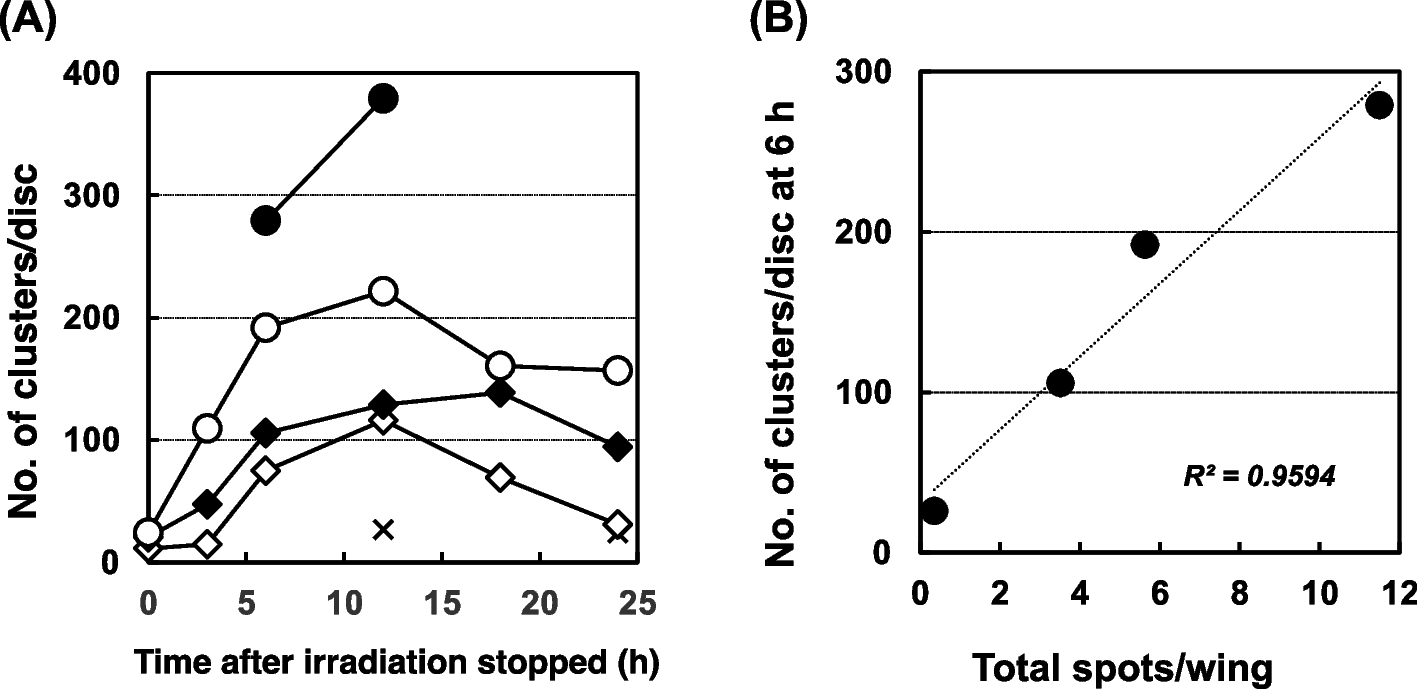 Fig. 9