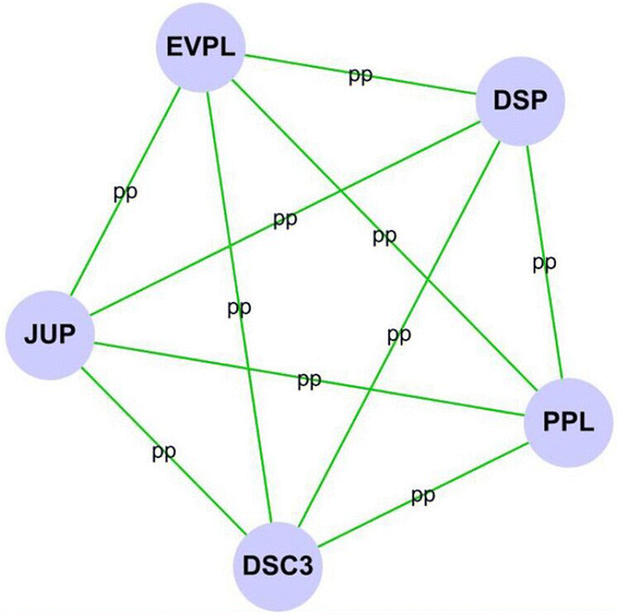 Fig. 5