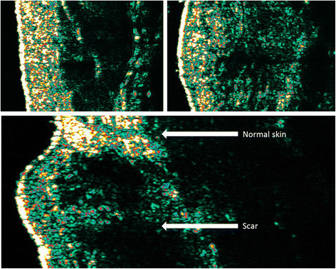 Fig. 5