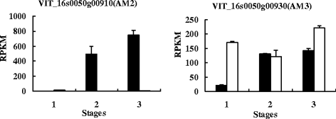 Fig. 11