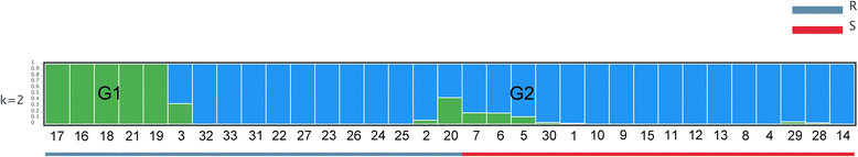 Fig. 2