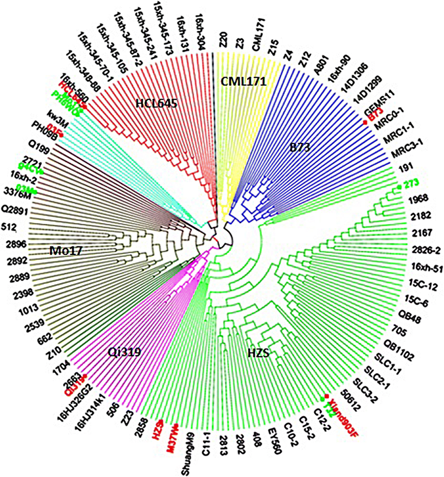 Fig. 3