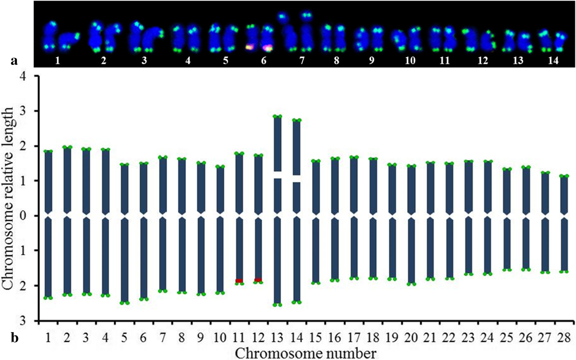 Fig. 3