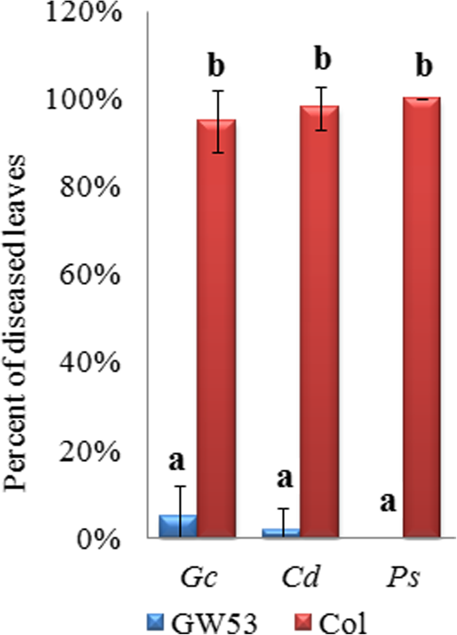 Fig. 9