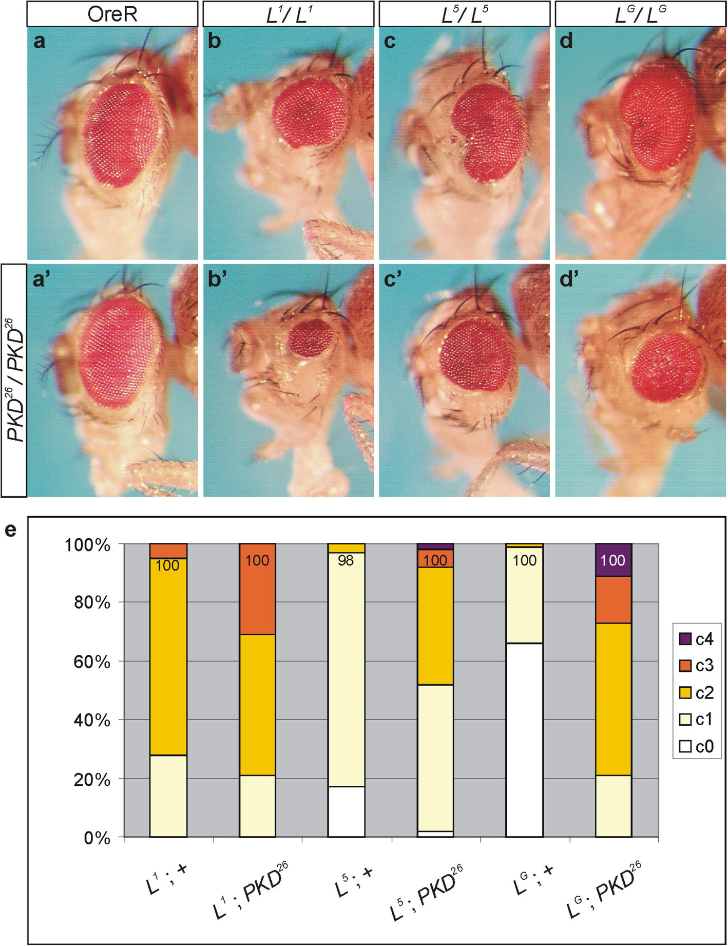 Fig. 4