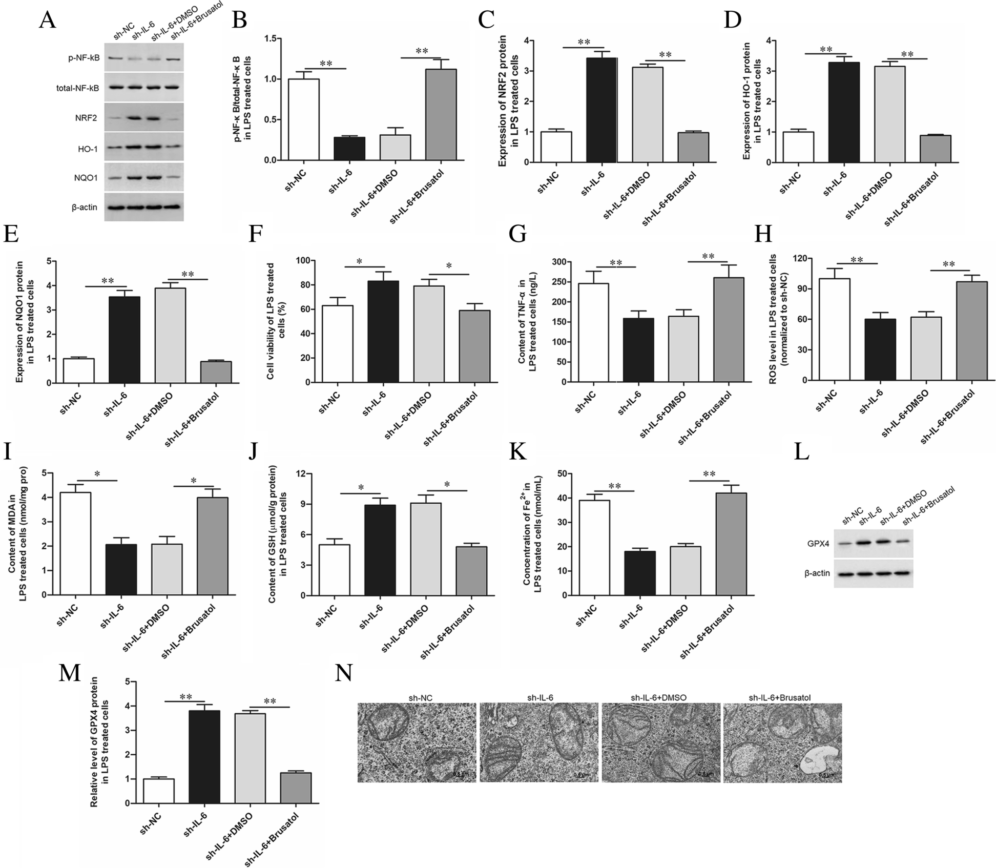 Fig. 6