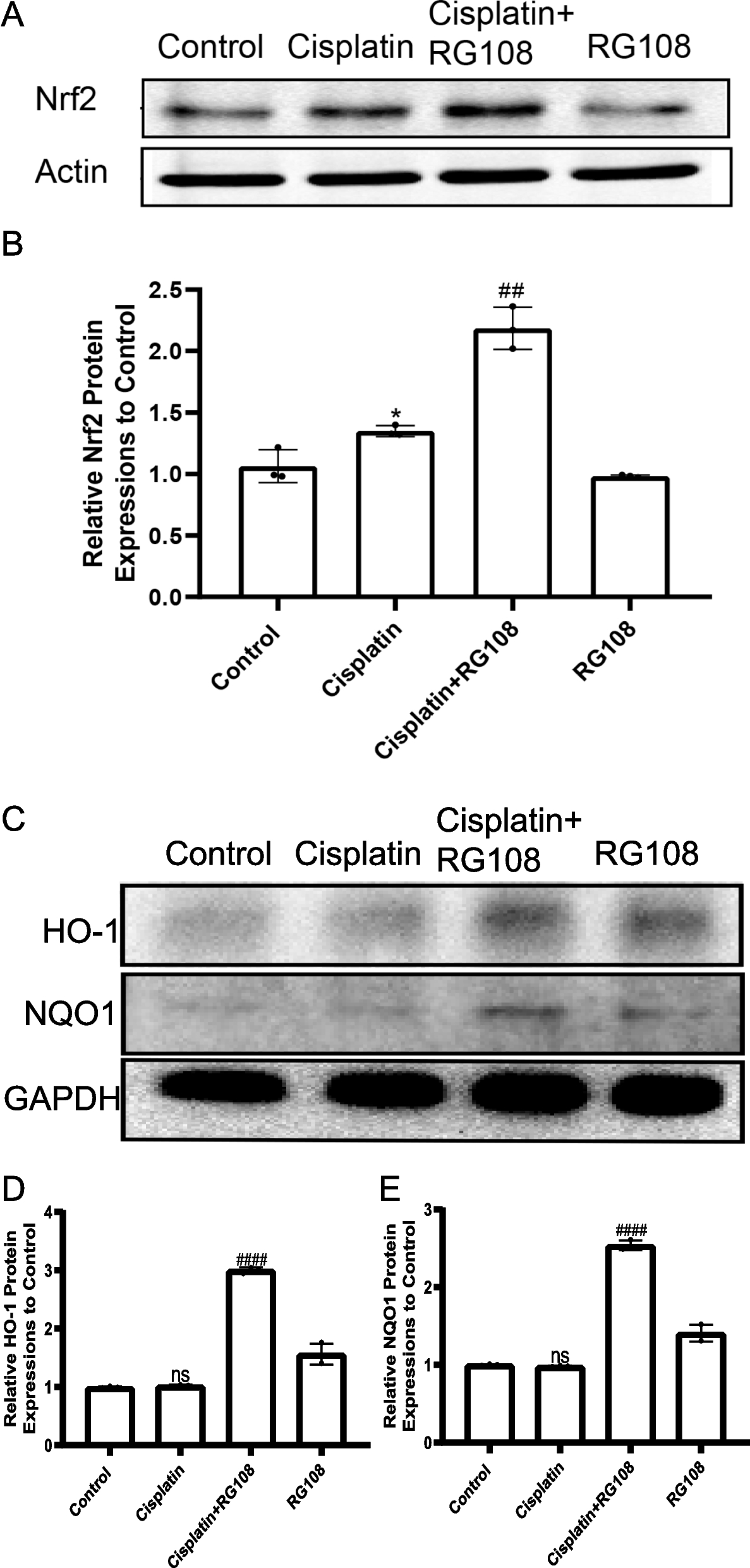 Fig. 11