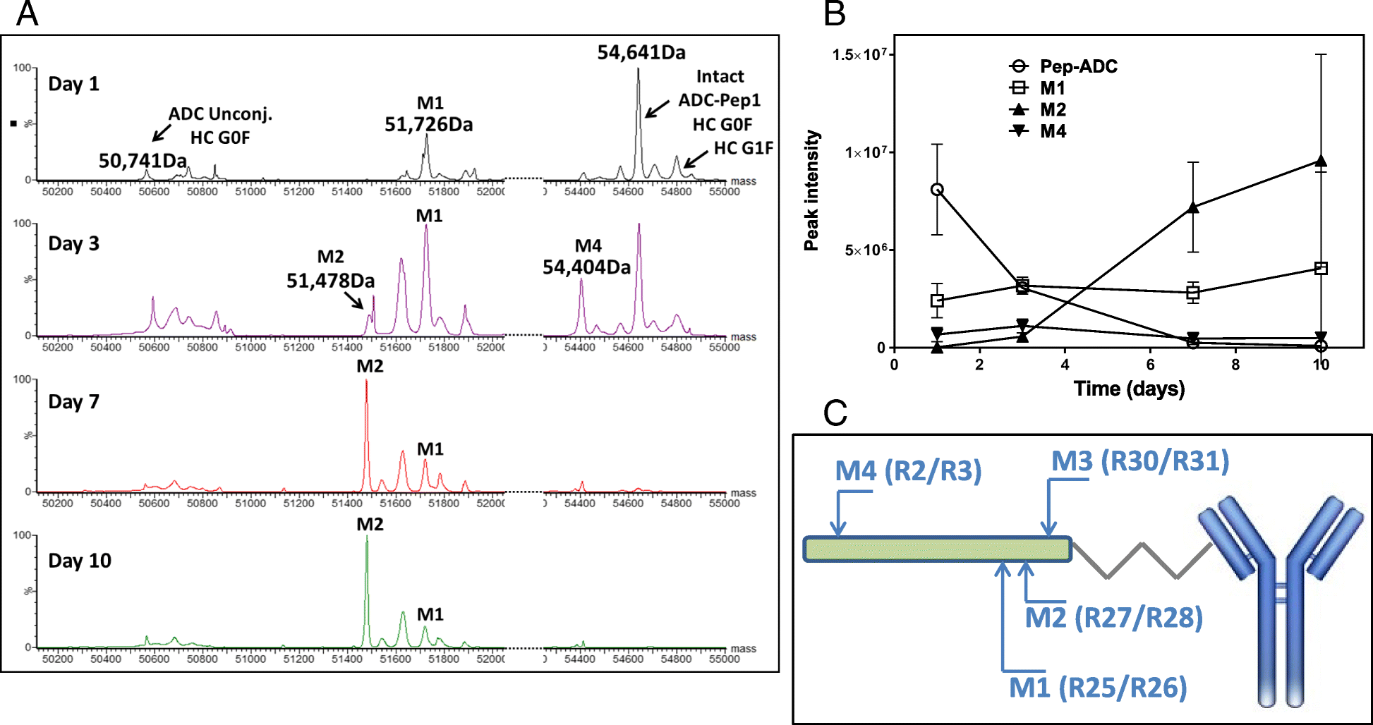 Fig. 9