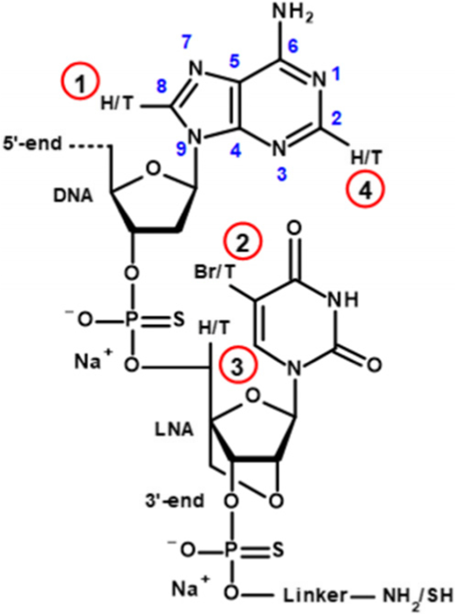 Fig. 1