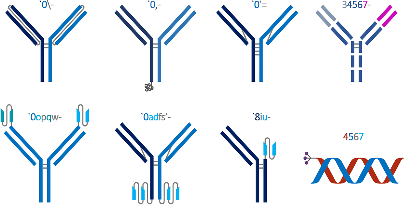 Fig. 4