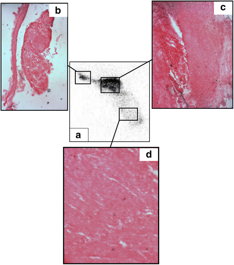 Fig. 10