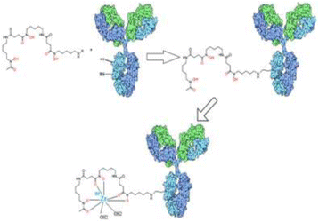 Fig. 2 (abstract PP10).