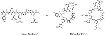 Fig. 1 (abstract PP34).