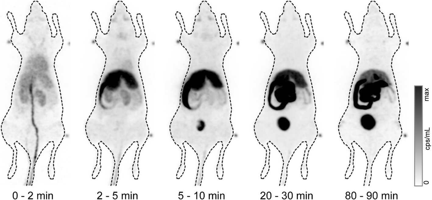 Fig. 3