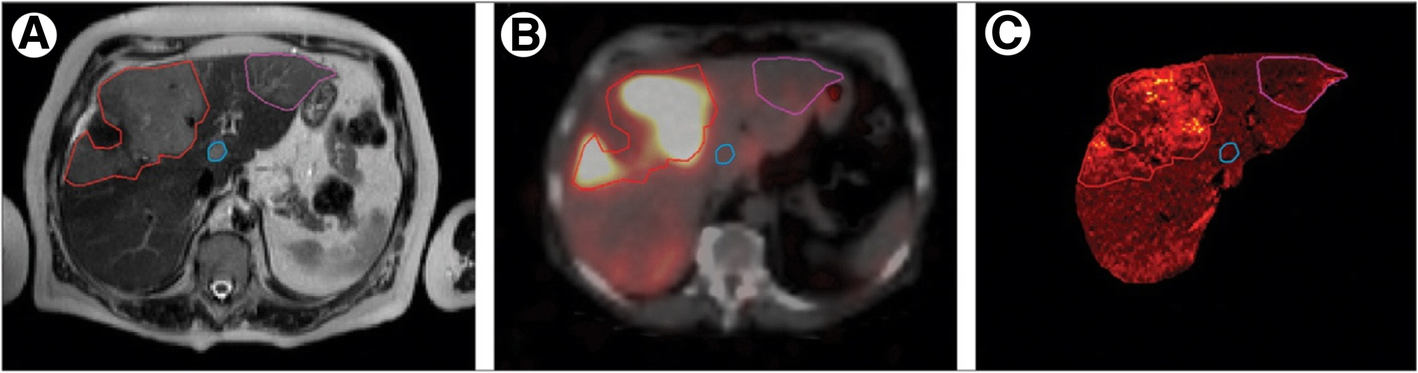 Fig. 4