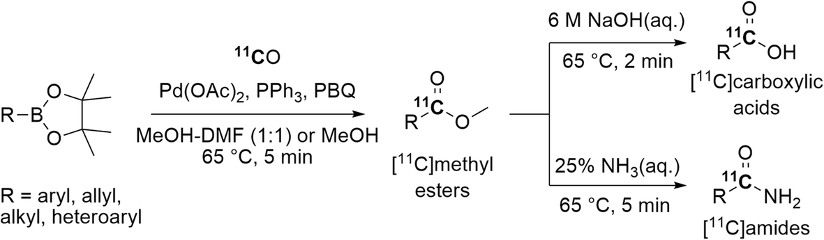 Fig. 10