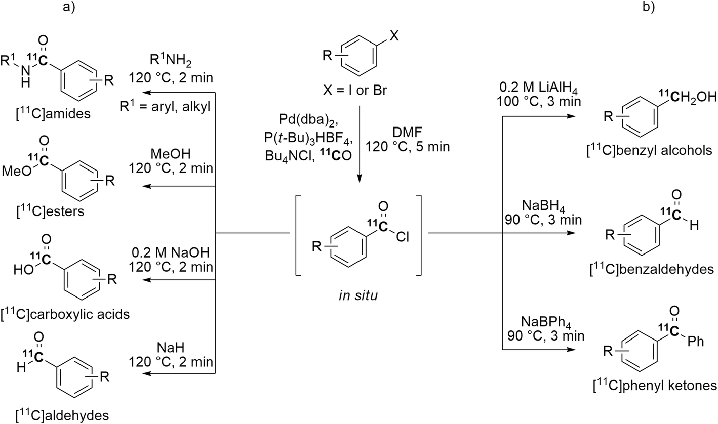 Fig. 12