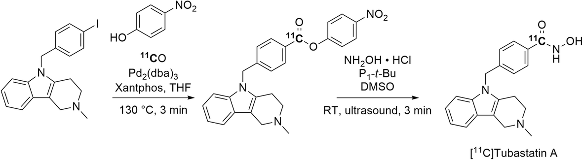 Fig. 24