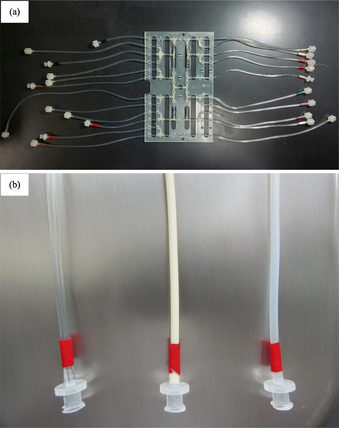 Fig. 2