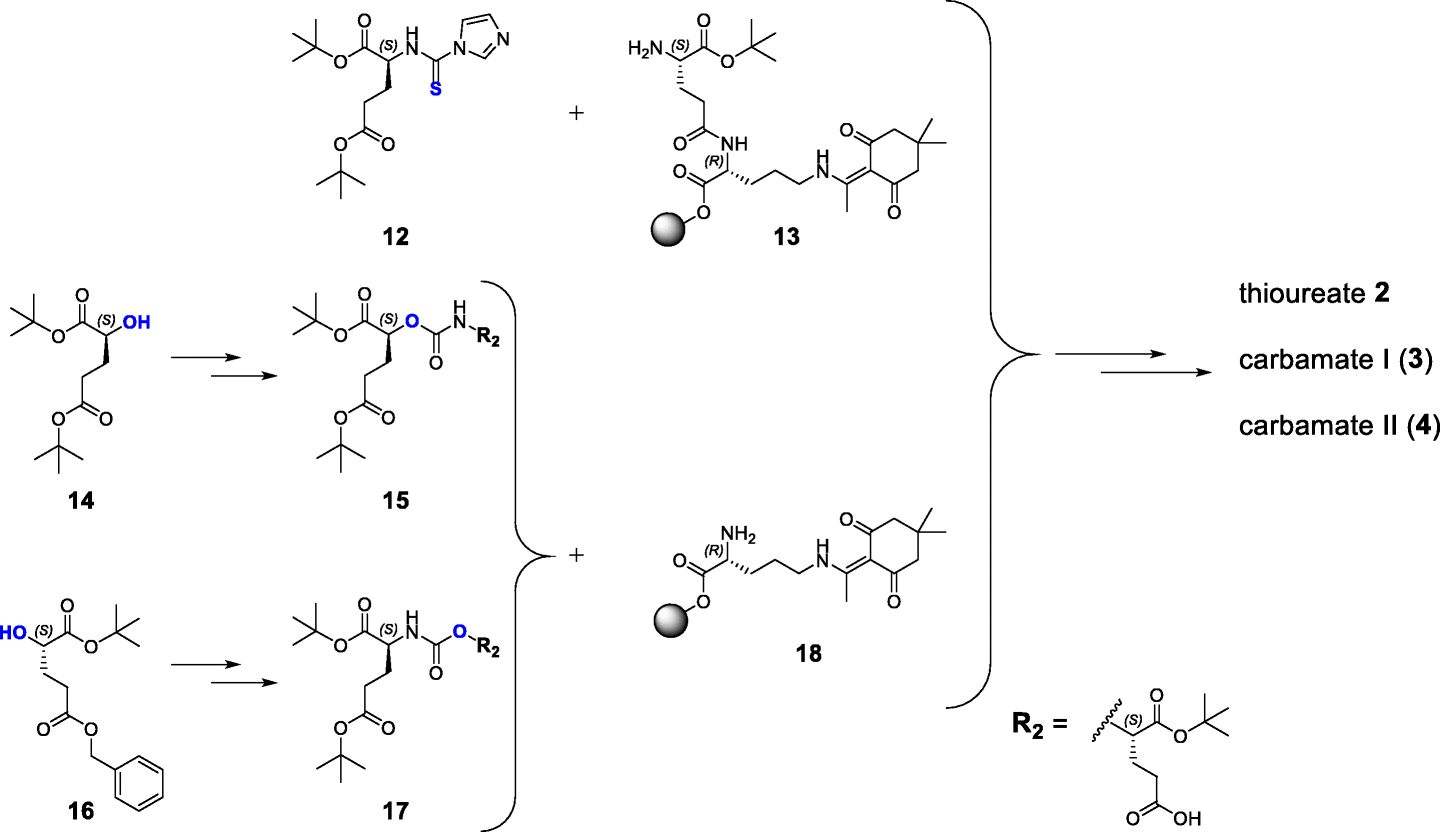 Scheme 1