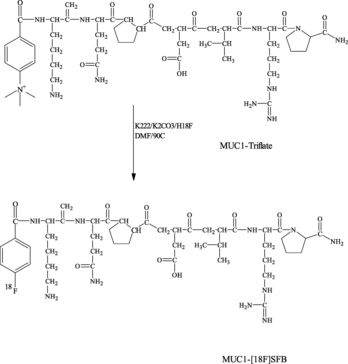 Scheme 3