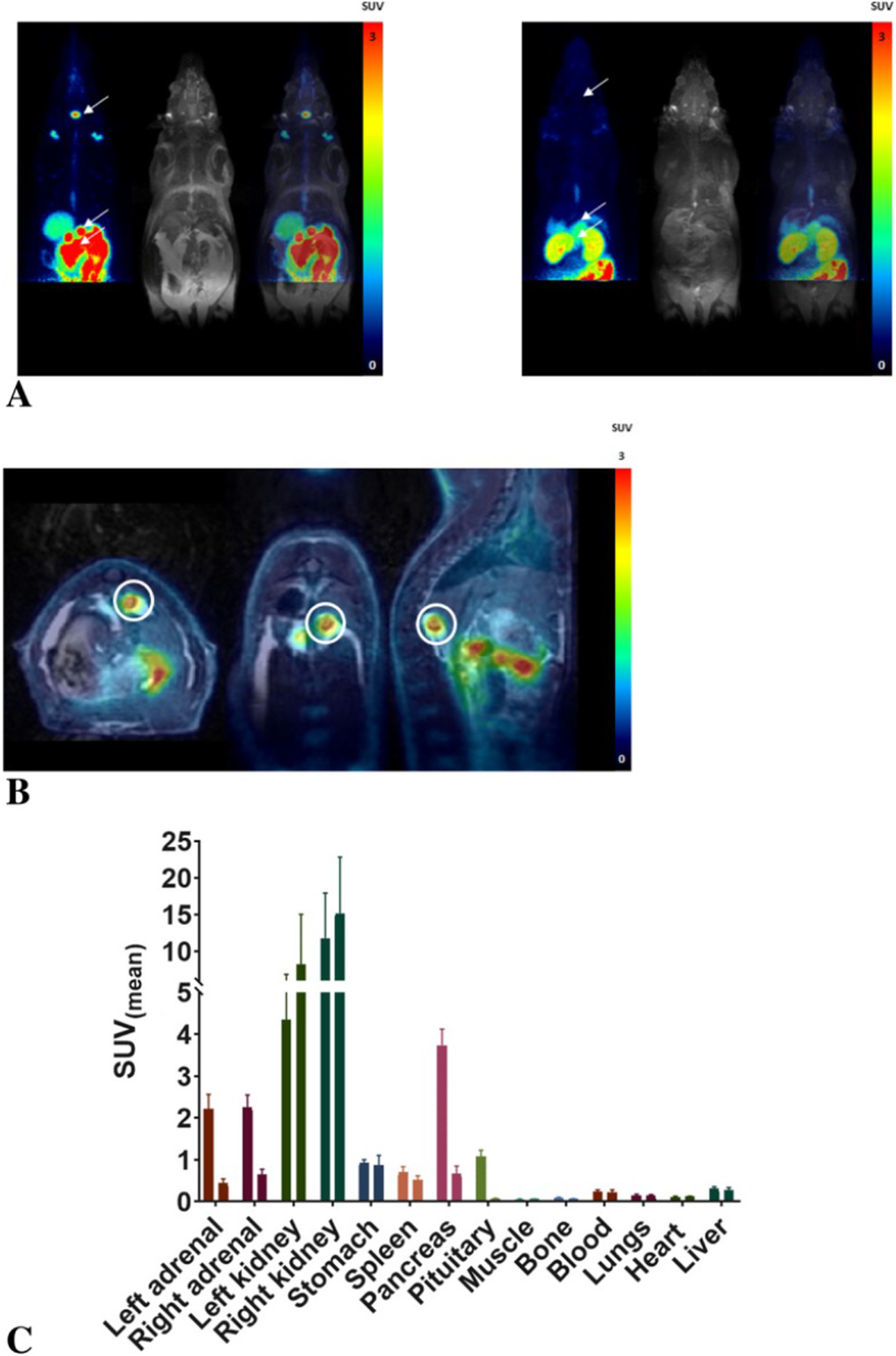 Fig. 3