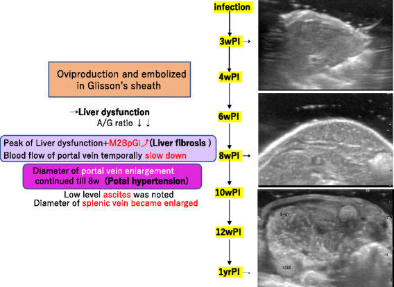 Fig. 10