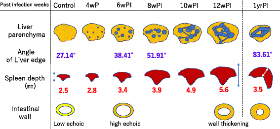 Fig. 9