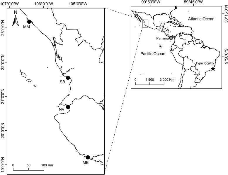 Fig. 9