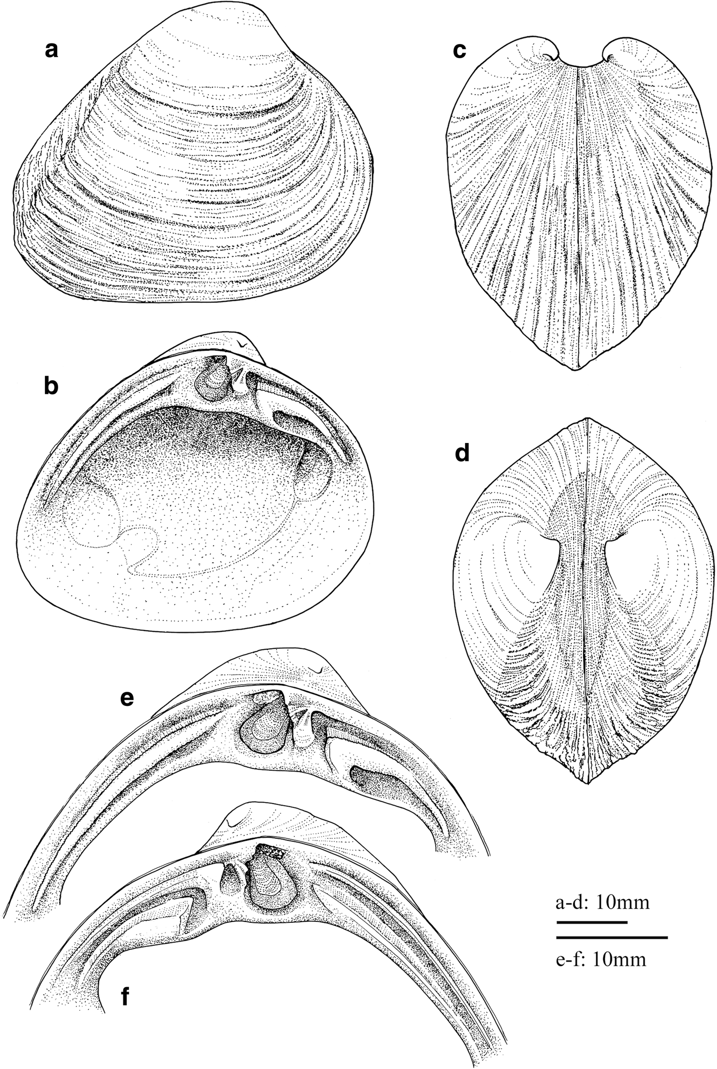 Fig. 5